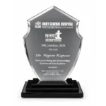 Crystal Memento rounded size 22*14.5 cm Crystal with black base | Primora Gifts