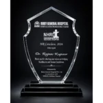 Crystal Memento rounded size 22*14.5 cm Crystal with black base | Primora Gifts - Image 2